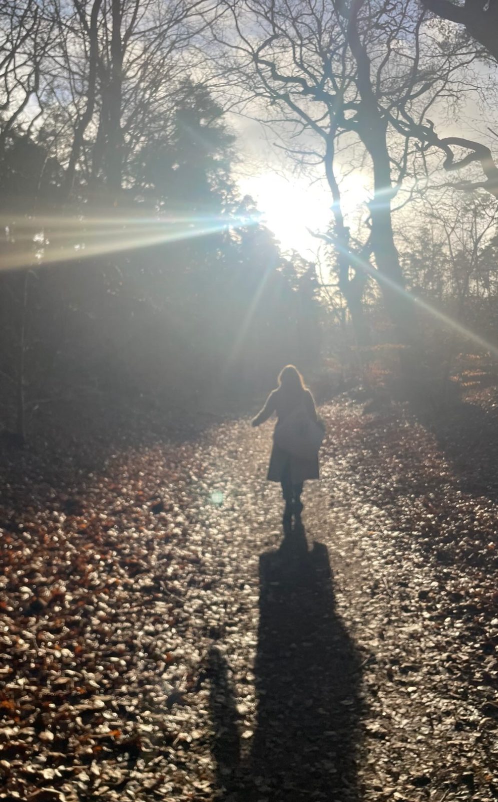 Maria walking along a forest path against the light